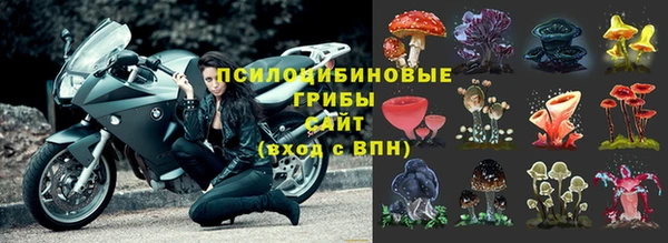 трава Алексин