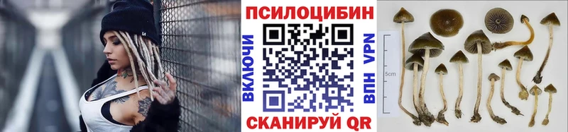 Галлюциногенные грибы мицелий  Новомичуринск 